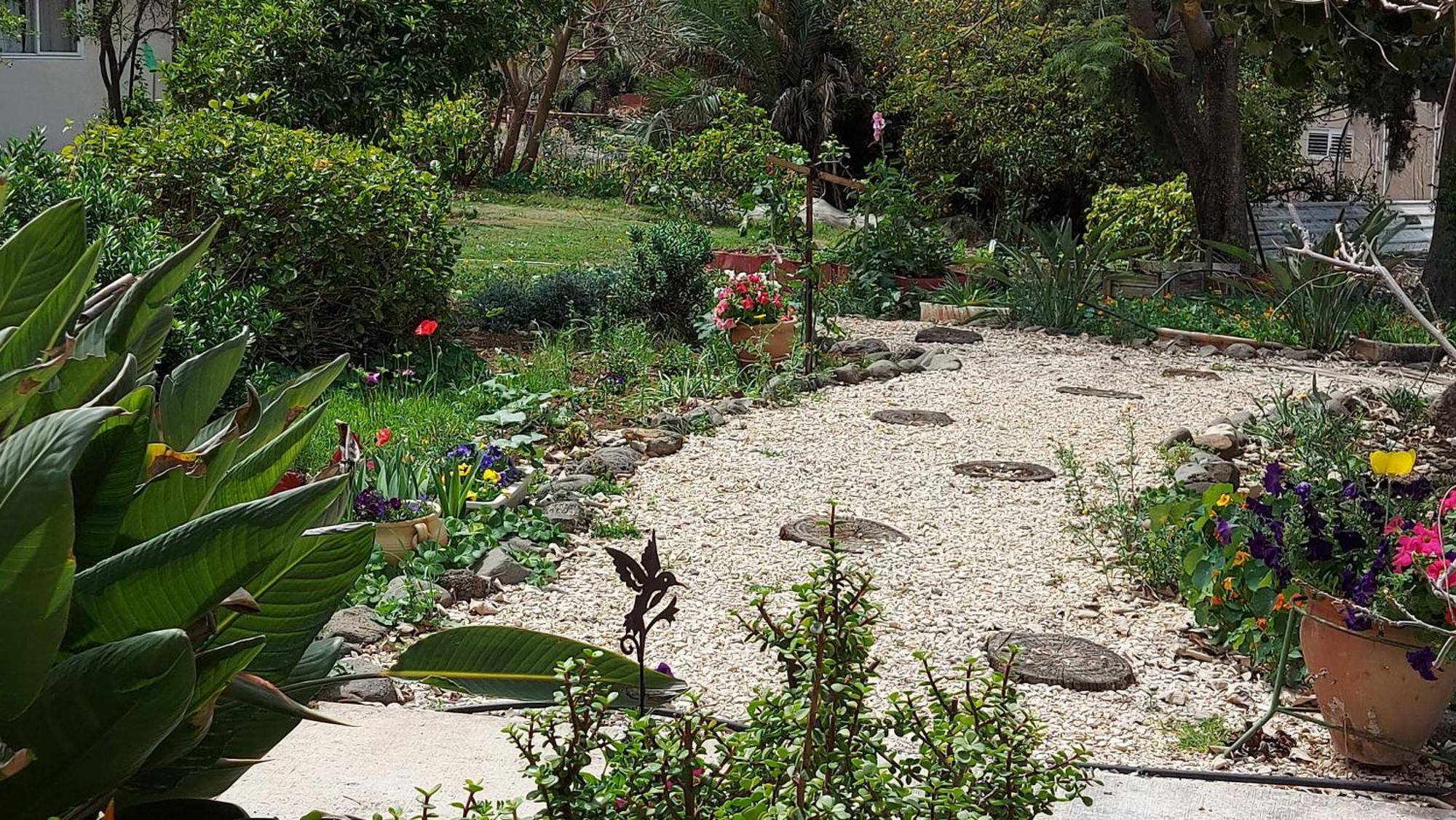 Pundak Guesthouse Ramot Exterior foto